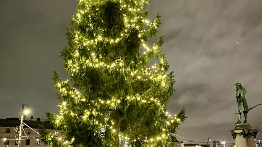 Julgran på Lilla torget